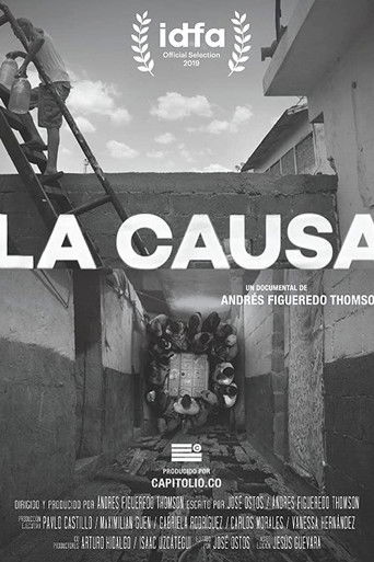 Watch The Cause 2019 poster