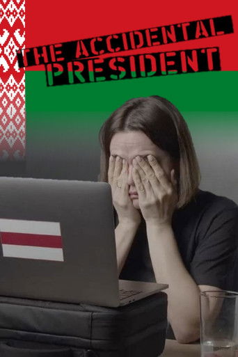 Watch The Accidental President 2024 poster