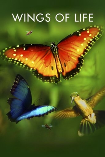 Watch Wings of Life 2011 poster