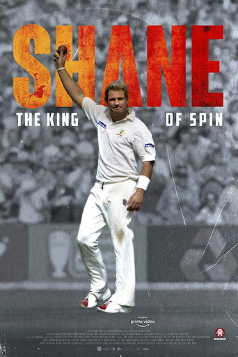 Watch Shane 2022 poster