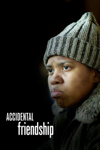 Watch Accidental Friendship 2008 poster