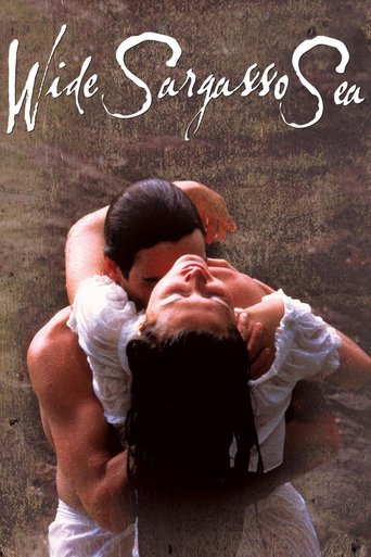 Watch Wide Sargasso Sea 1993 poster