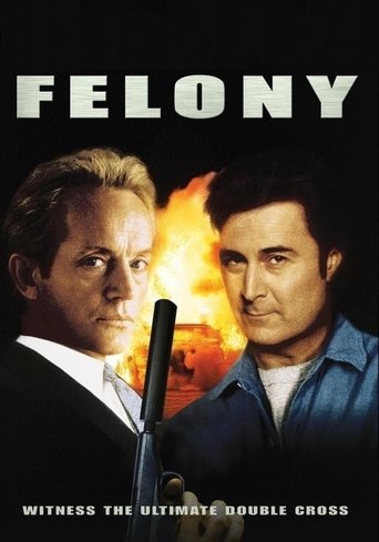 Watch Felony 1994 poster