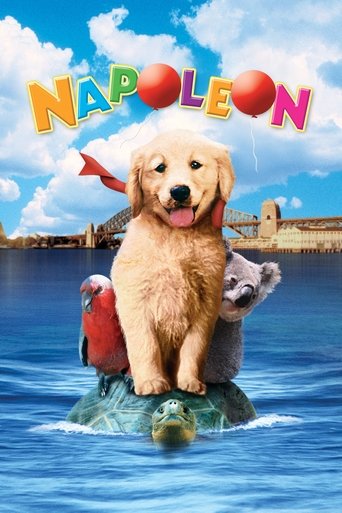 Watch Napoleon 1995 poster