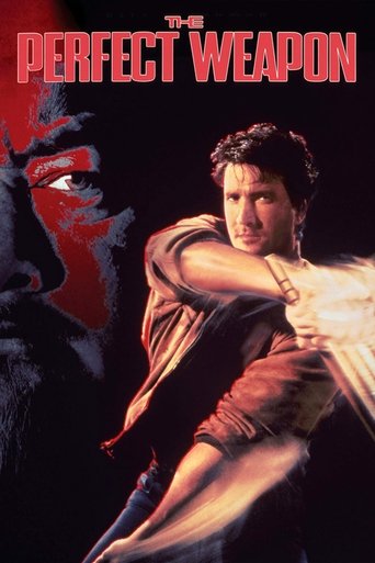 Watch The Perfect Weapon 1991 poster