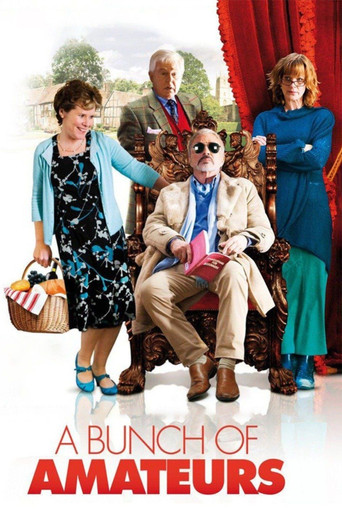Watch A Bunch of Amateurs 2008 poster
