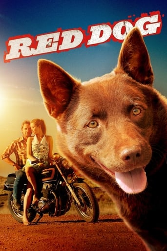 Watch Red Dog 2011 poster