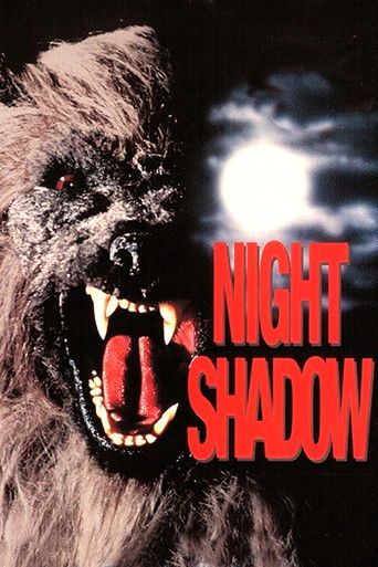 Watch Night Shadow 1989 poster
