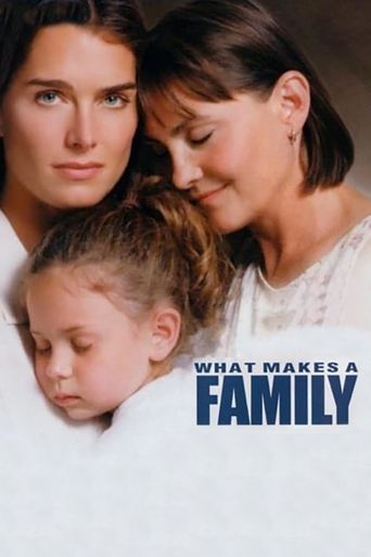 Watch What Makes a Family 2001 poster
