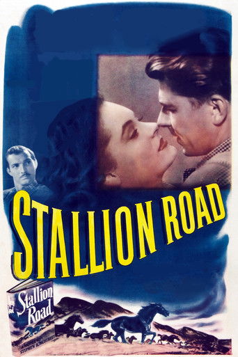 Watch Stallion Road 1947 poster