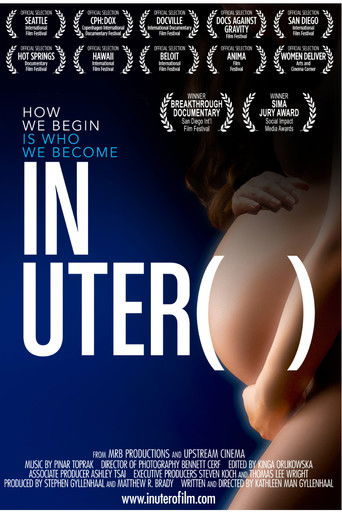 Watch In Utero 2015 poster