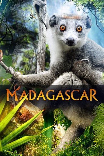 Watch Madagascar 3D 2013 poster