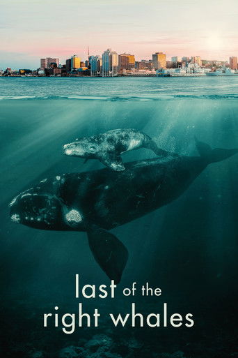Watch Last of the Right Whales 2021 poster