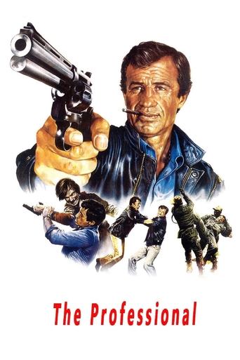 Watch The Professional 1981 poster