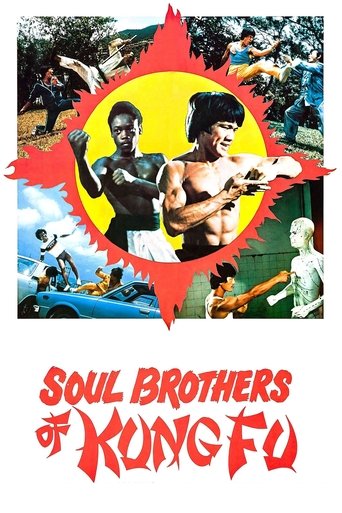 Watch Soul Brothers of Kung Fu 1977 poster