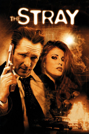 Watch The Stray 2000 poster