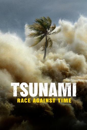 Watch Tsunami: Race Against Time 2024 poster