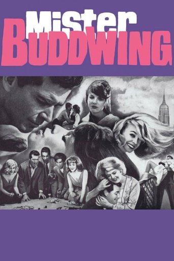 Watch Mister Buddwing 1966 poster