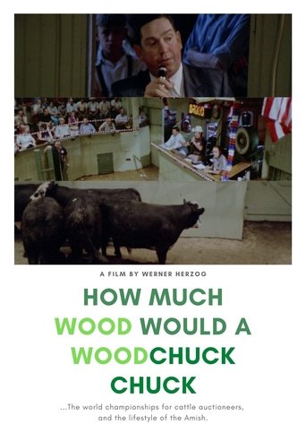 Watch How Much Wood Would a Woodchuck Chuck 1976 poster