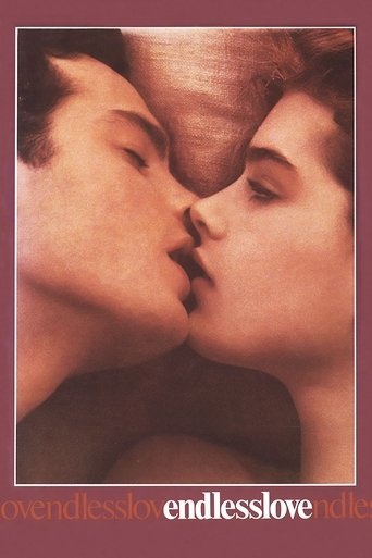 Watch Endless Love 1981 poster