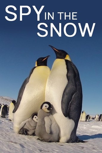 Watch Spy in the Snow 2018 poster