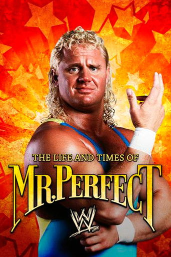 Watch The Life and Times of Mr. Perfect 2008 poster