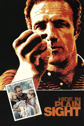 Watch Hide in Plain Sight 1980 poster