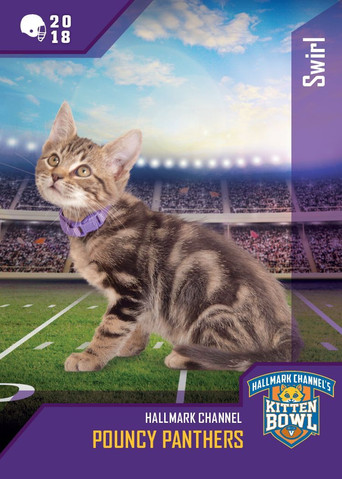 Watch Kitten Bowl VIII Special 2021 poster