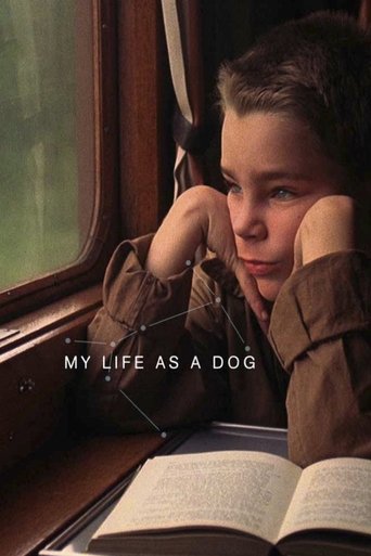 Watch My Life as a Dog 1985 poster