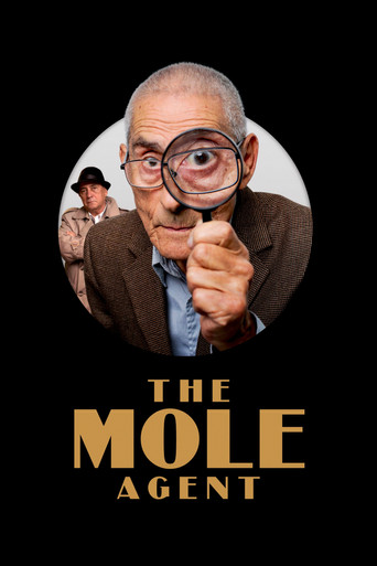 Watch The Mole Agent 2020 poster