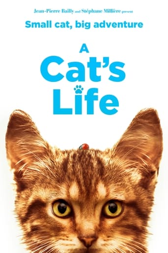 Watch A Cat's Life 2023 poster