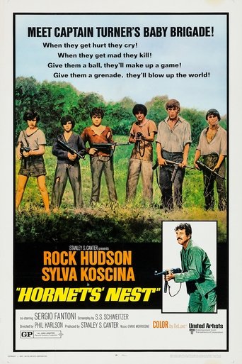 Watch Hornets' Nest 1970 poster