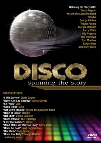 Watch Disco: Spinning The Story 2005 poster
