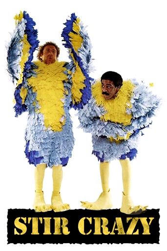 Watch Stir Crazy 1980 poster