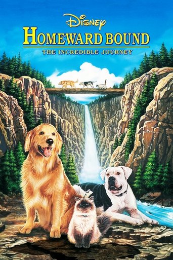 Watch Homeward Bound: The Incredible Journey 1993 poster