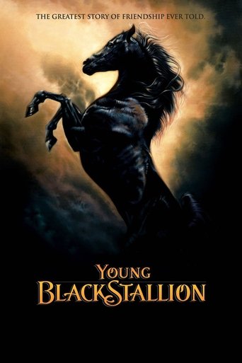 Watch Young Black Stallion 2003 poster