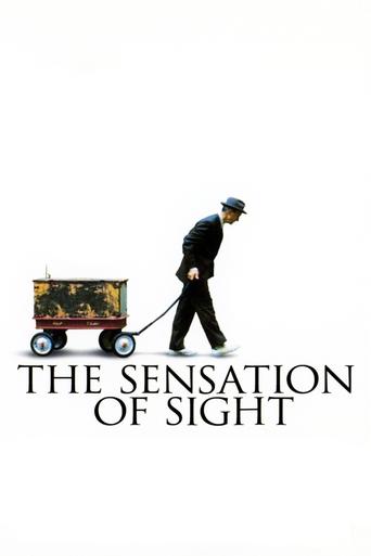 Watch The Sensation of Sight 2006 poster