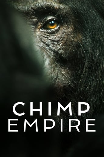 Watch Chimp Empire 2023 poster