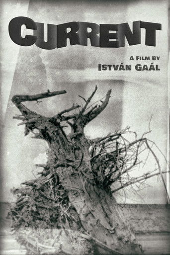 Watch Current 1964 poster