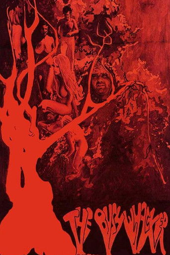 Watch The Bushwhacker 1968 poster