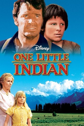 Watch One Little Indian 1973 poster