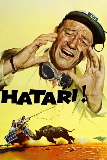 Watch Hatari! 1962 poster