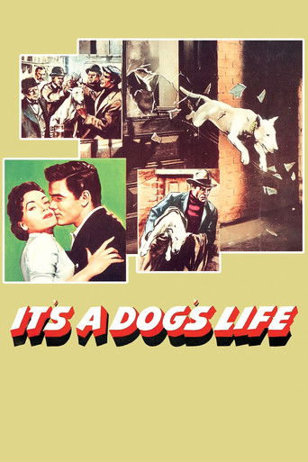 Watch It's a Dog's Life 1955 poster