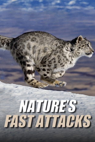 Watch Nature's Fast Attacks 2023 poster