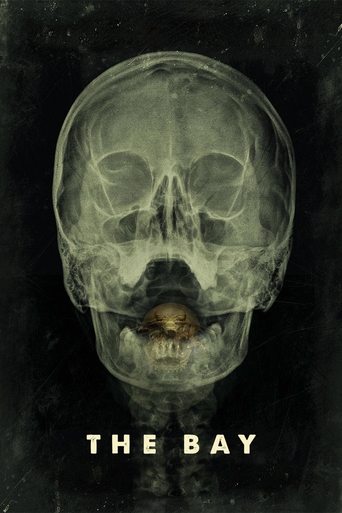 Watch The Bay 2012 poster