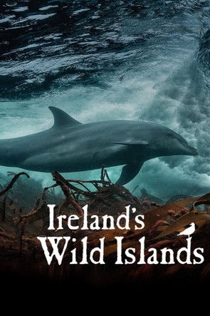 Watch Ireland's Wild Islands 2023 poster