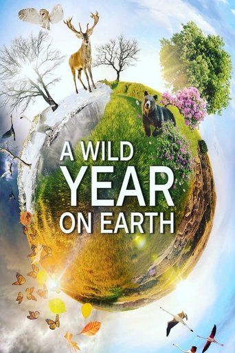 Watch A Wild Year On Earth 2020 poster