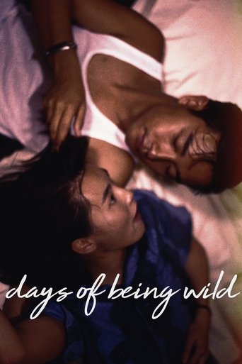 Watch Days of Being Wild 1990 poster