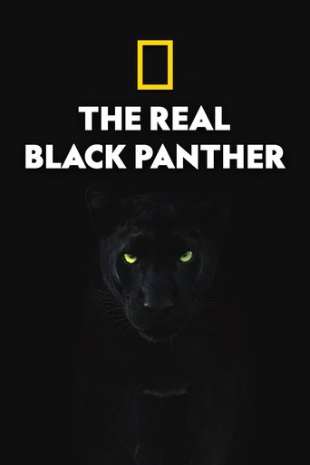 Watch The Real Black Panther 2020 poster