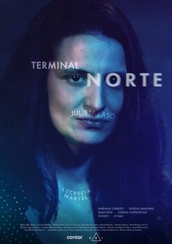 Watch North Terminal 2022 poster